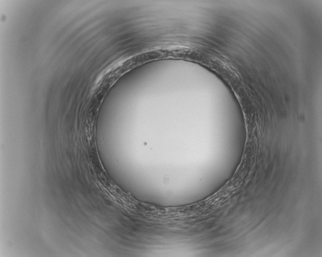 X0000060270920200511181415