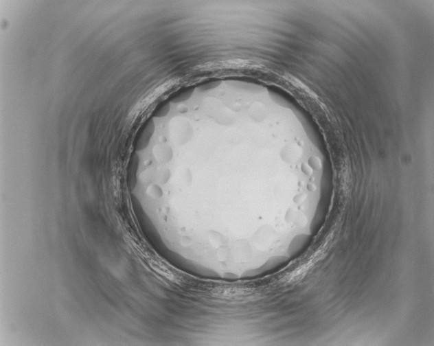 X0000060270921200511181415