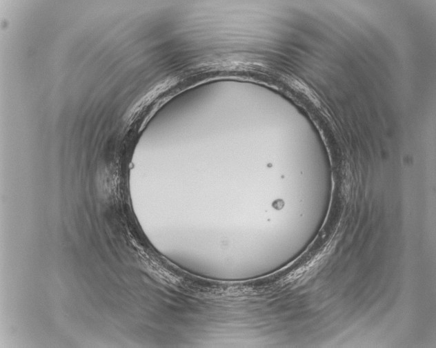 X0000060270922200511181415