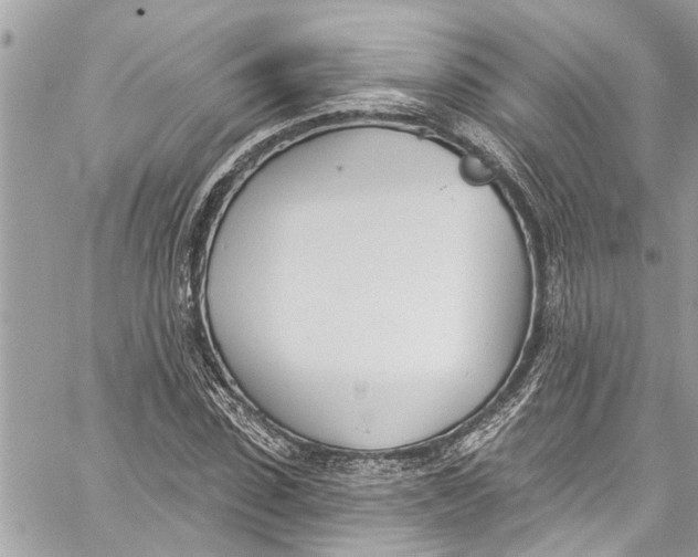 X0000060270923200511181415