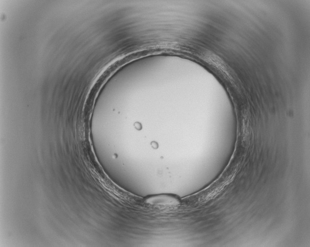 X0000060270924200511181415