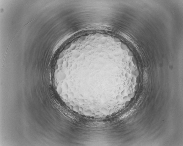 X0000060270925200511181416