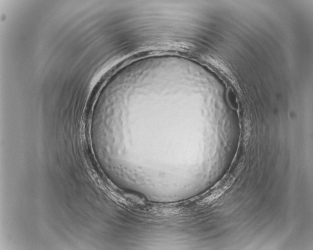 X0000060270928200511181416