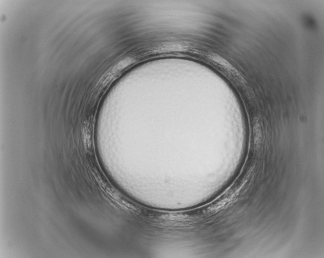 X0000060270929200511181416