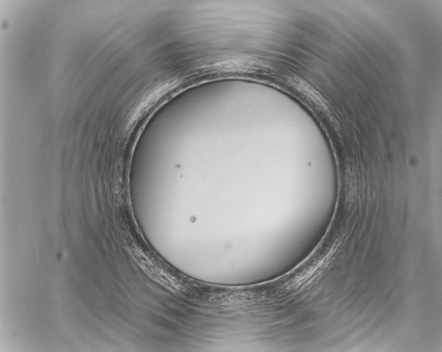 X0000060270930200511181416