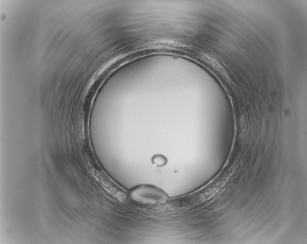 X0000060270931200511181416