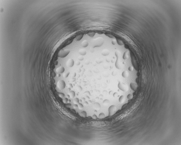 X0000060270933200511181416