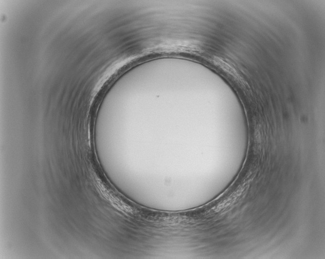 X0000060270934200511181416