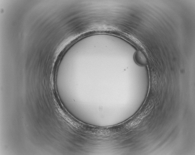 X0000060270935200511181416