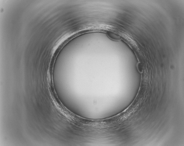 X0000060270936200511181416