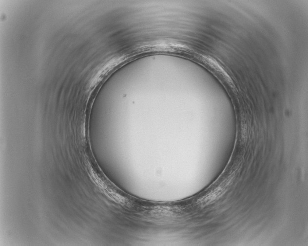 X0000060270938200511181416