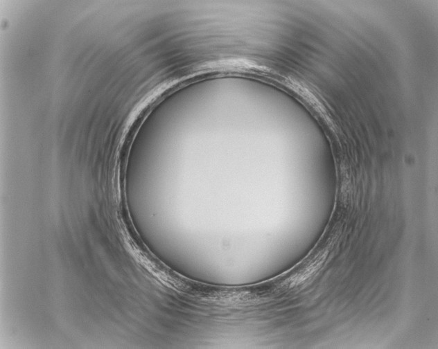 X0000060270939200511181416