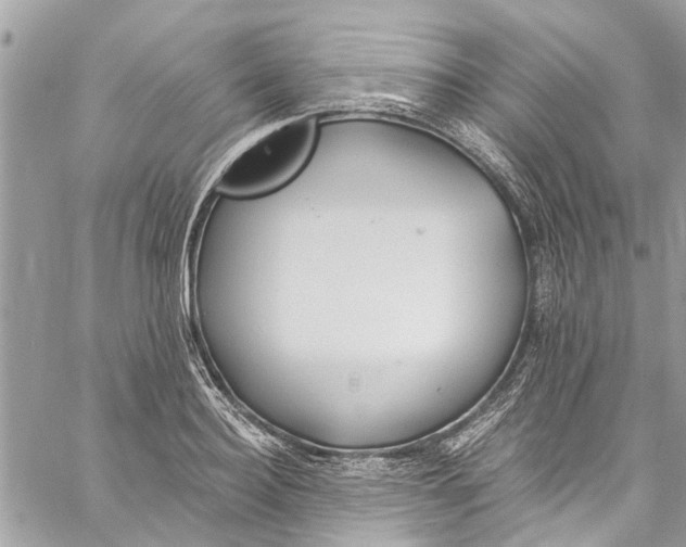 X0000060270940200511181416