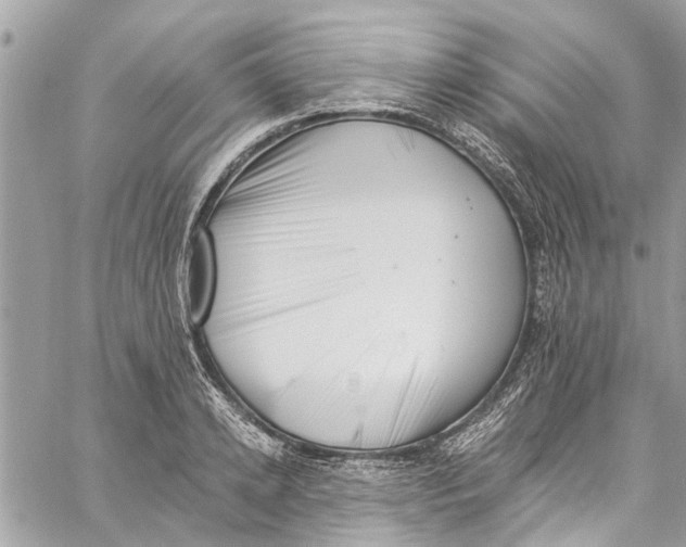 X0000060270942200511181416