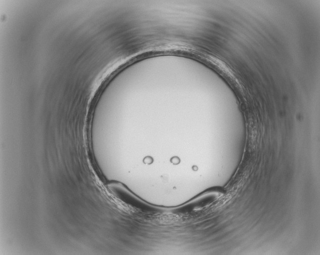 X0000060270943200511181416