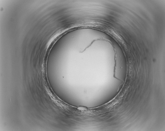 X0000060270944200511181416