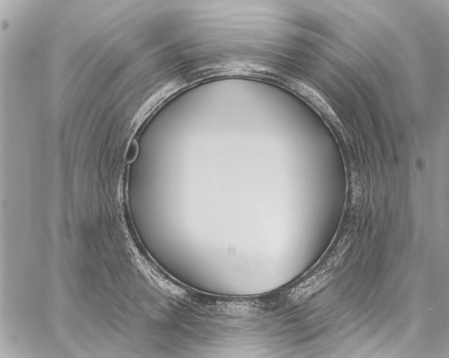 X0000060270946200511181416