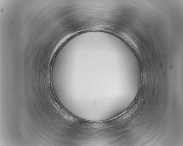 X0000060270948200511181416