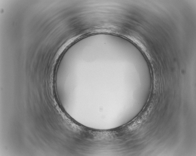 X0000060270949200511181416