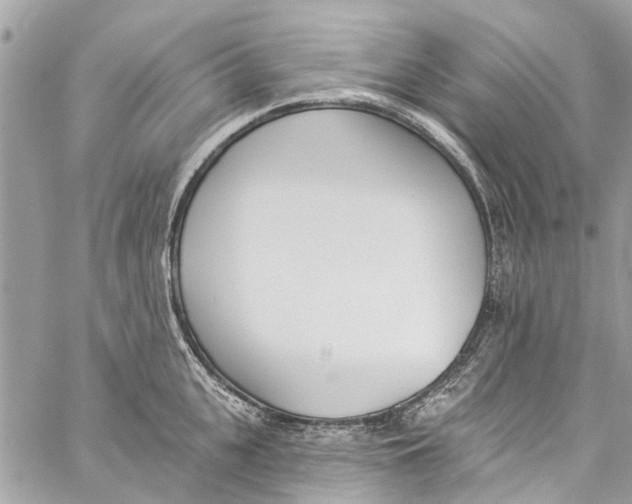 X0000060270951200511181416