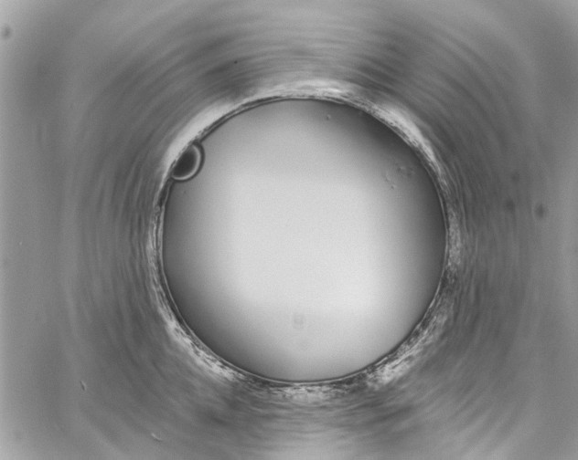 X0000060270952200511181416