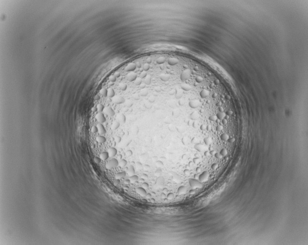 X0000060270953200511181416