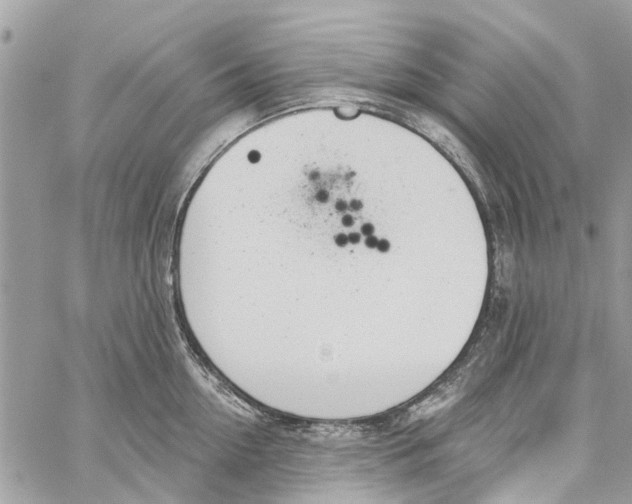 X0000060270954200511181416