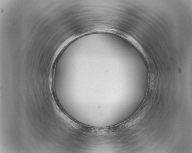 X0000060270955200511181416