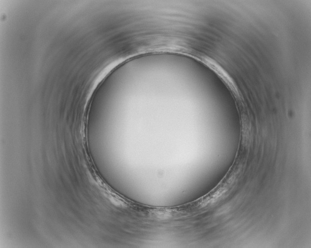 X0000060270956200511181416