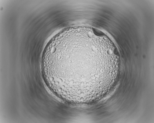 X0000060270957200511181416