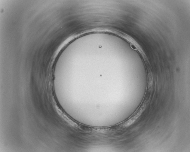 X0000060270958200511181416