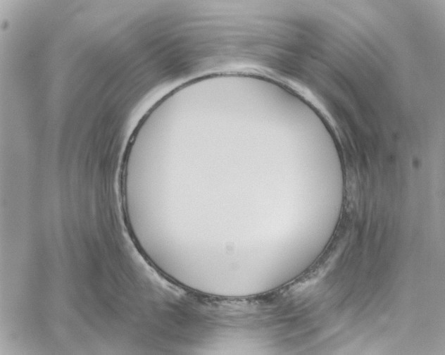 X0000060270959200511181416