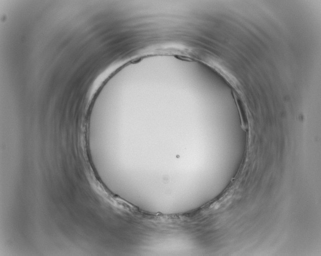 X0000060270960200511181416