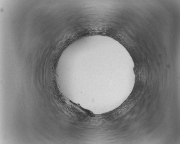 X0000060270961200511181415