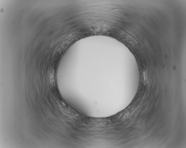 X0000060270963200511181415