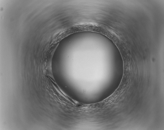 X0000060270965200511181415