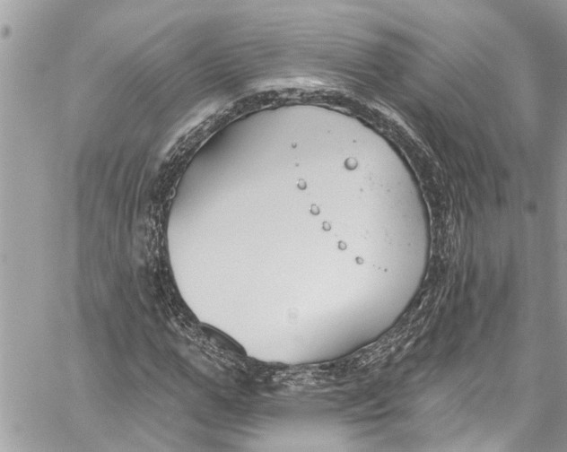 X0000060270967200511181415