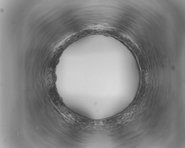 X0000060270968200511181415