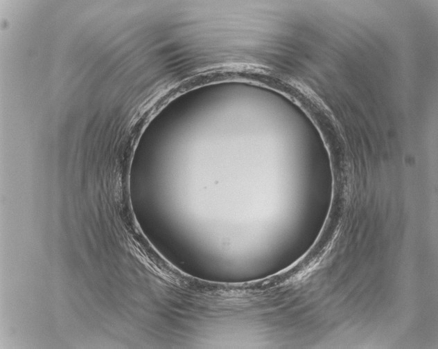 X0000060270969200511181415