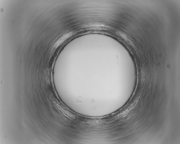 X0000060270970200511181415