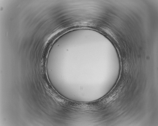 X0000060270971200511181415