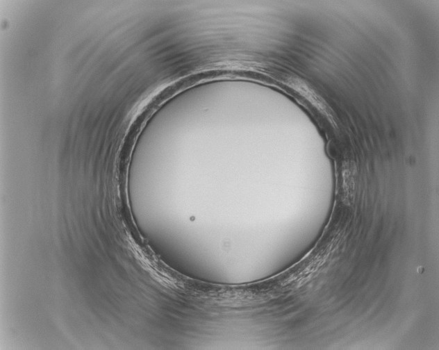 X0000060270972200511181415