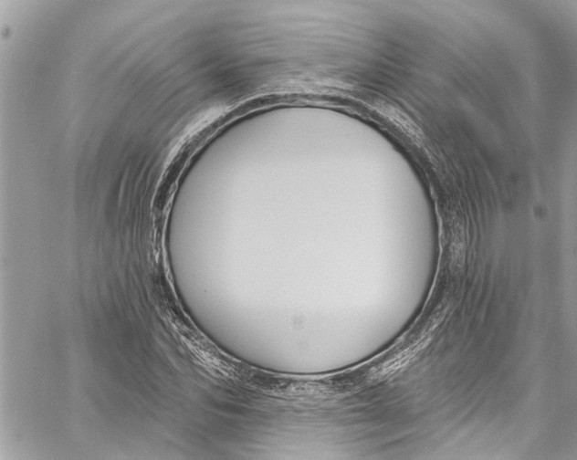 X0000060270974200511181415