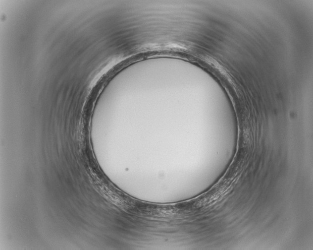 X0000060270975200511181415