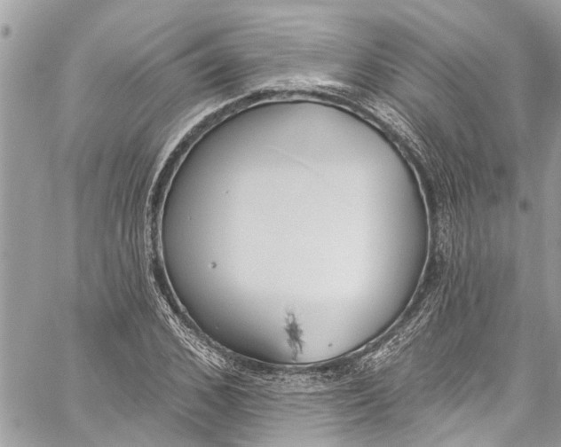 X0000060270976200511181415