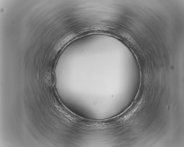 X0000060270977200511181415