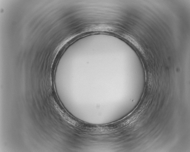 X0000060270980200511181415