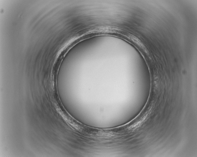 X0000060270981200511181415