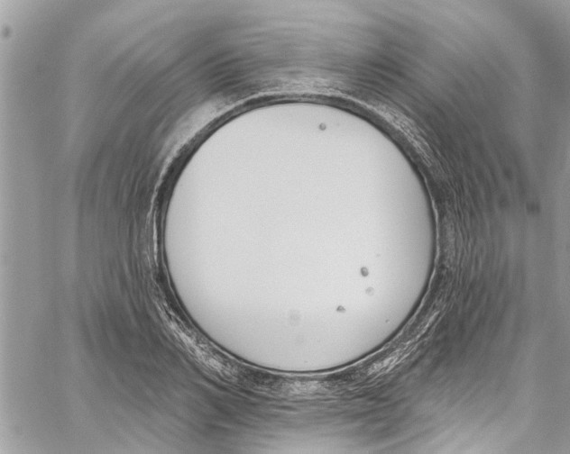 X0000060270982200511181415