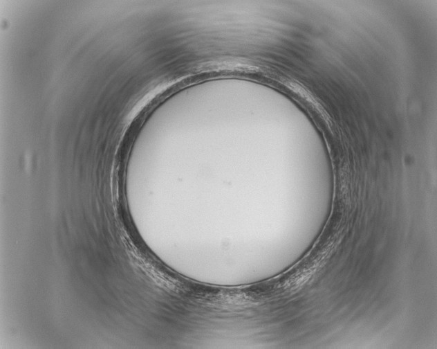 X0000060270983200511181415